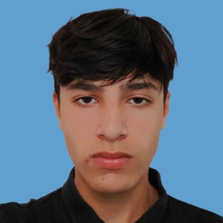 User Image