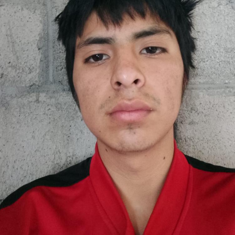 User Image