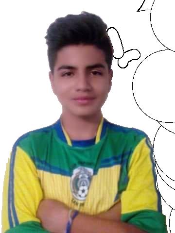 User Image