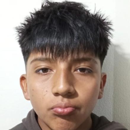 User Image